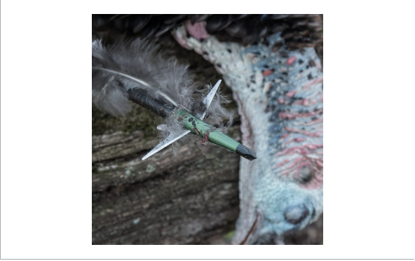 #207 100 GRAIN 2-INCH CUT BROADHEADS - SET OF 3